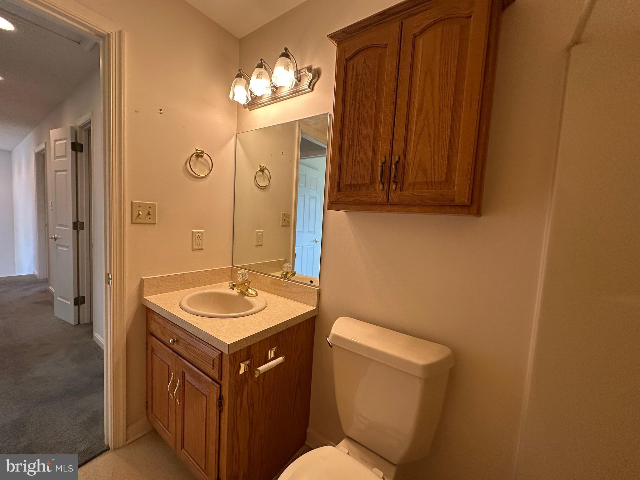10744 Apple Tree Lane Williamsport, MD 21795 - Photo 89 of 118 a bathroom with a sink and a toilet