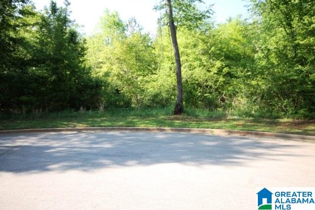 0 Almaroad Place Southwest, Unit 107 Jacksonville, AL 36265 - Photo 29 of 31