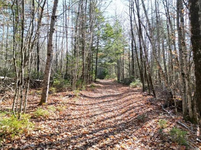 $8,000 | Lot 8 James Way, Lincoln, ME 04457