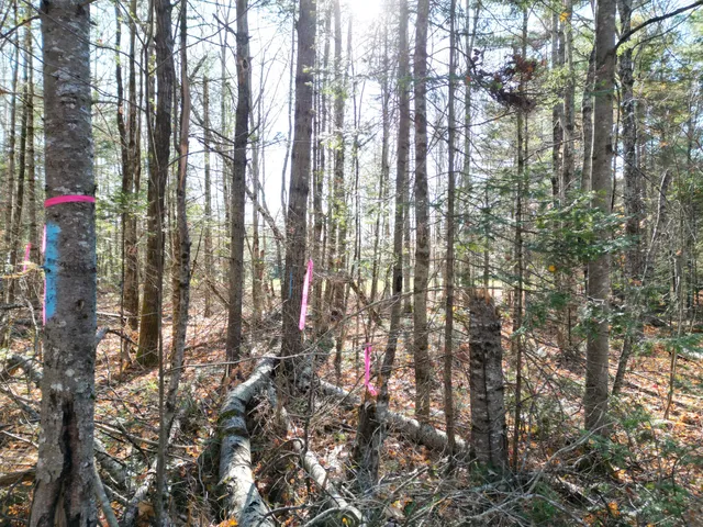 $8,000 | Lot 8 James Way, Lincoln, ME 04457