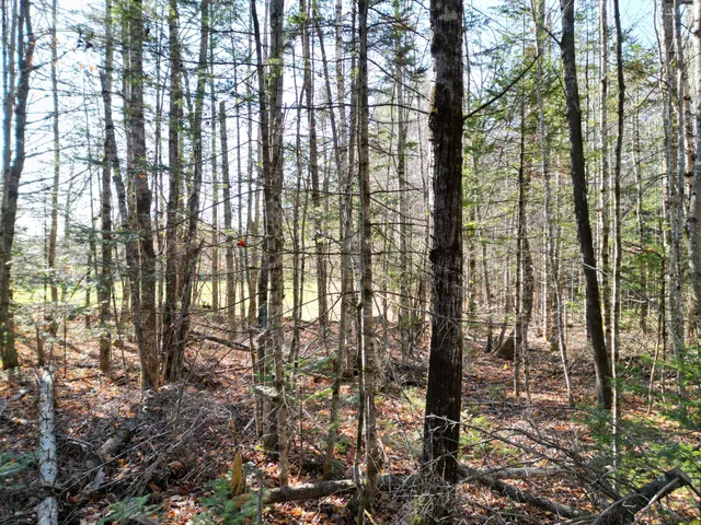 $8,000 | Lot 8 James Way, Lincoln, ME 04457