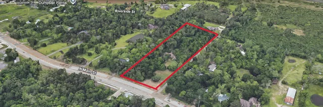 a close up of a tree