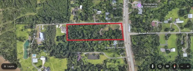 a view of a forest with a street