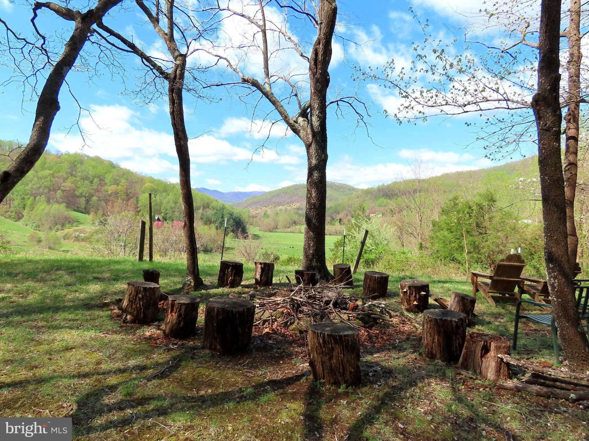 3016 Etlan Road Etlan, VA 22719 - Photo 5 of 40 Campfire ring faces south for night stars viewing
