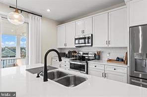 732 Round Hill Road Orange, VA 22960 - Photo 23 of 50 Beautifully appointed kitchen