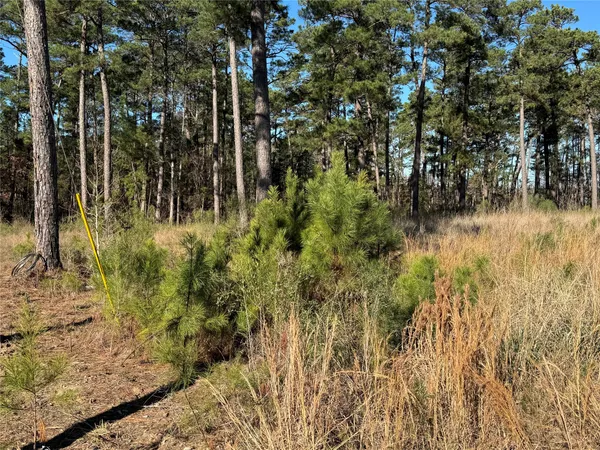 a view of outdoor space and trees