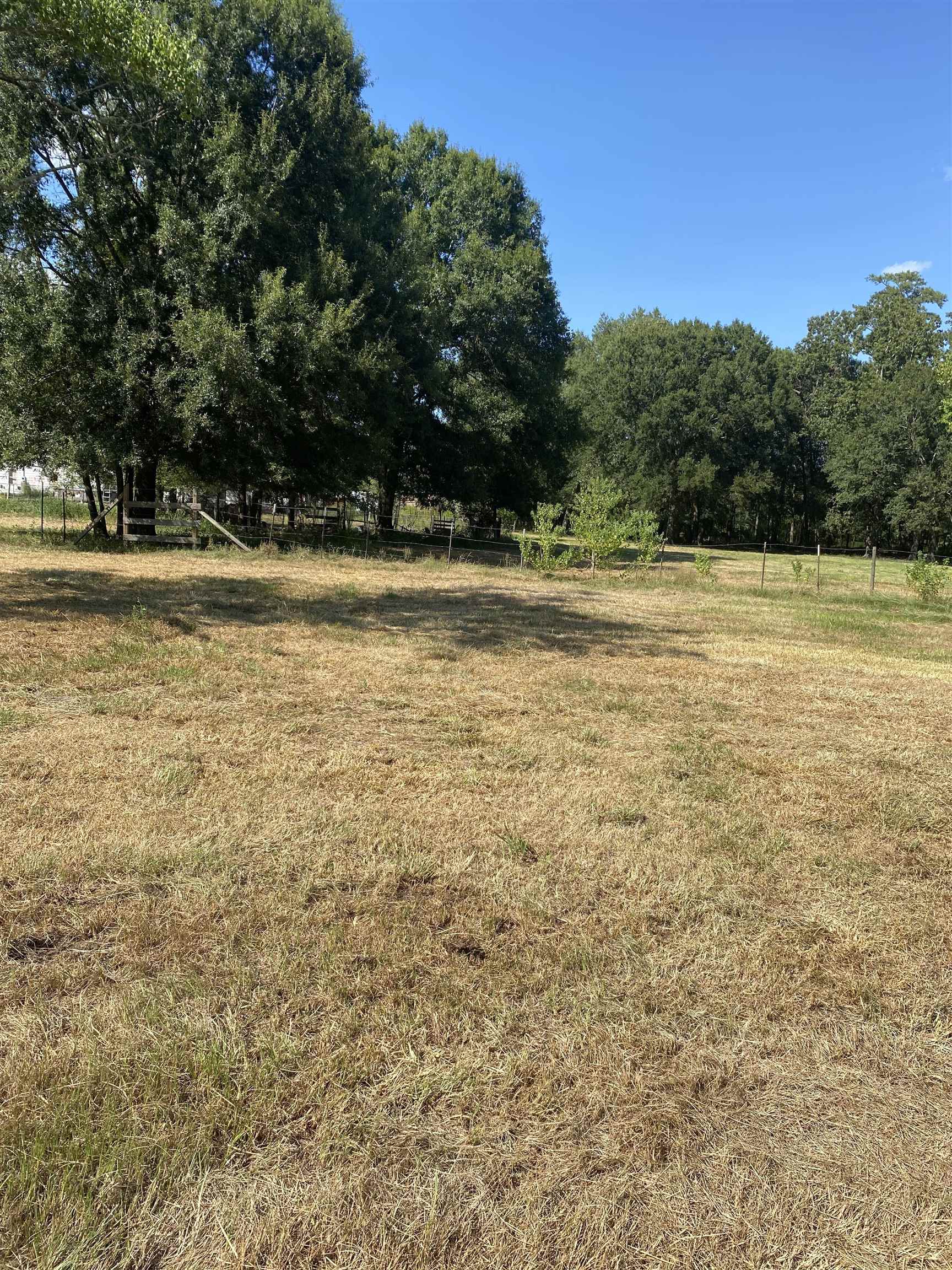 7540 Broussard Road Beaumont, TX 77713 - Photo 2 of 9