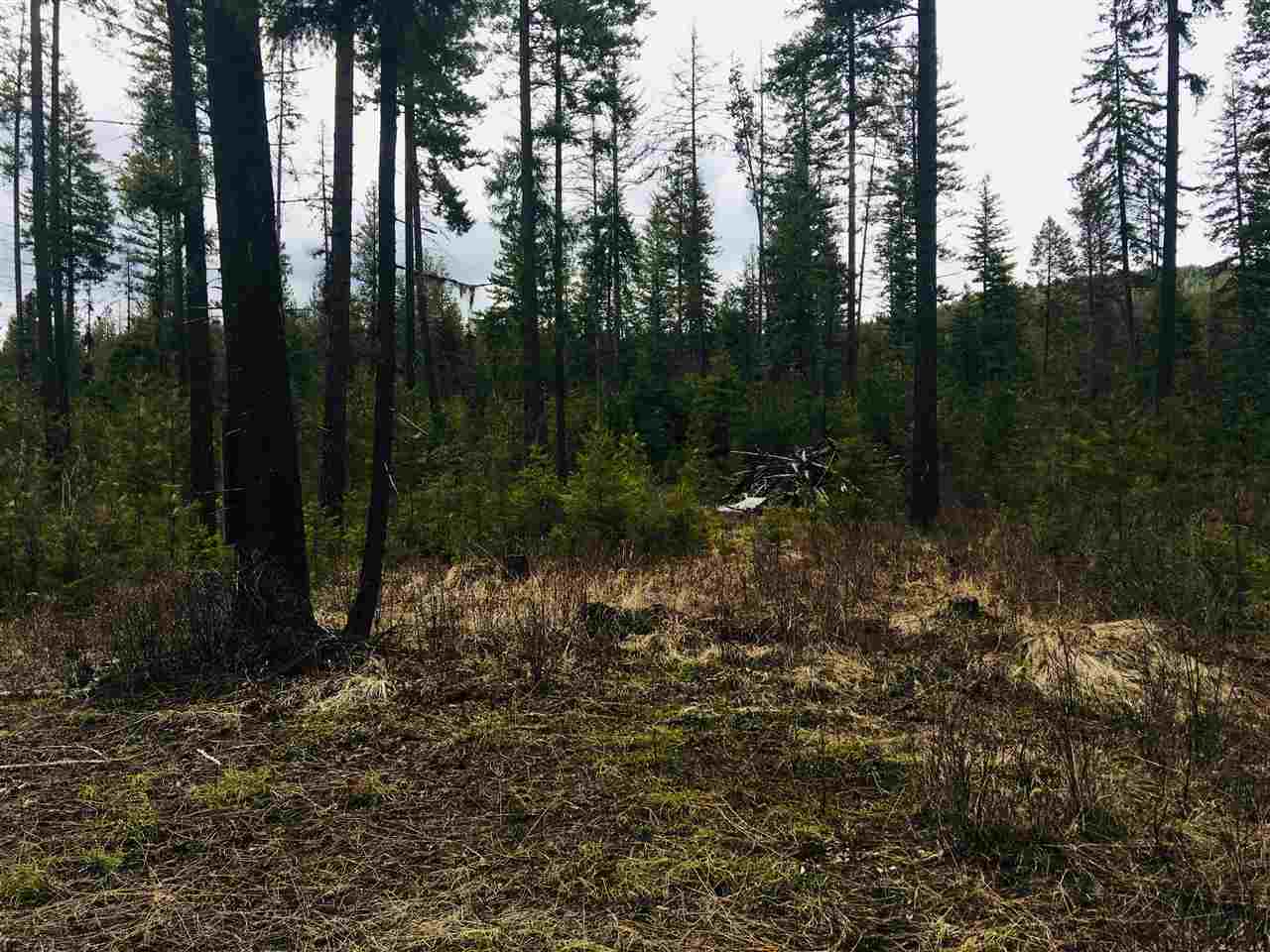 3053 F Burnt Valley Road Chewelah, WA 99109 - Photo 1 of 9 Gallery Image 1