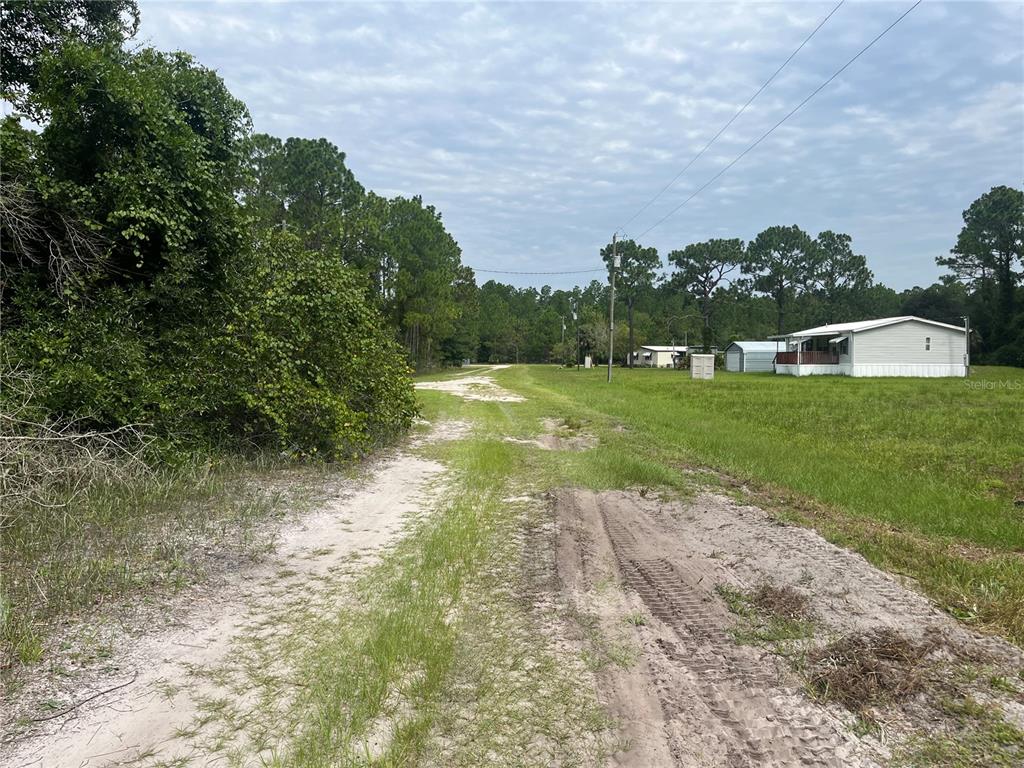 122 Glenside Street Georgetown, FL 32139 - Photo 2 of 9 a view of a yard with plants and trees