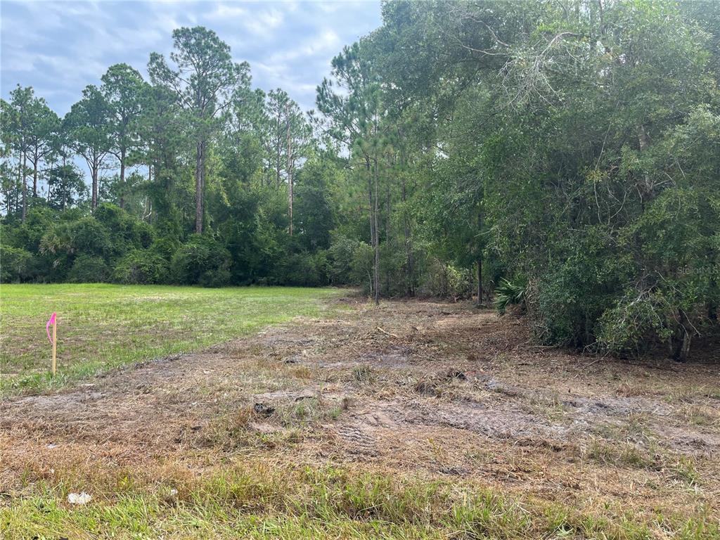 122 Glenside Street Georgetown, FL 32139 - Photo 4 of 9 a view of a field with trees in the background
