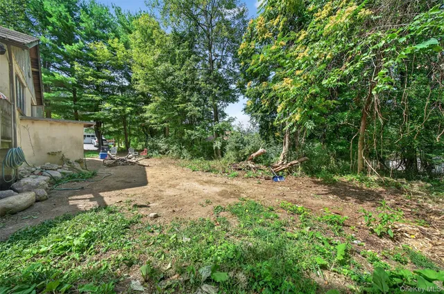 a view of a backyard with plants and trees