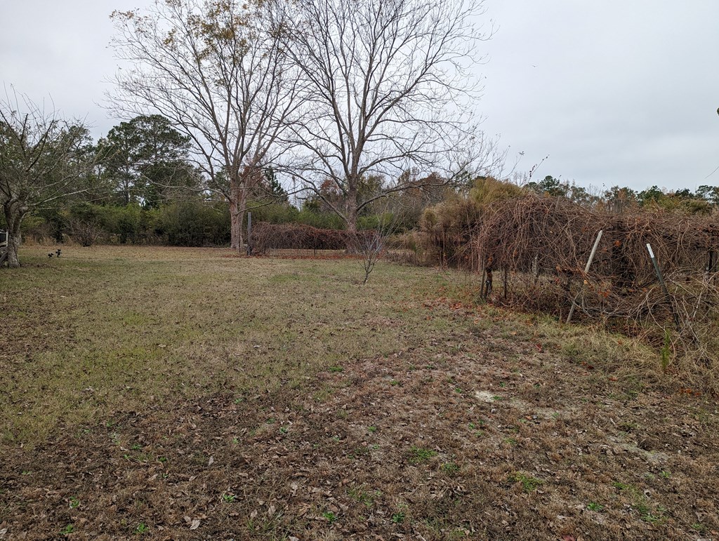 6002 Goat Hill Road Samson, AL 36477 - Photo 34 of 43