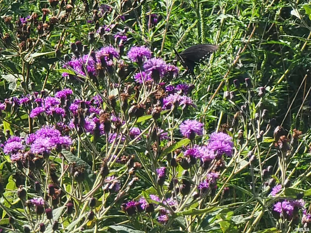 $365,000 | 365 Hanging Rock Road, Flora, IL 62839