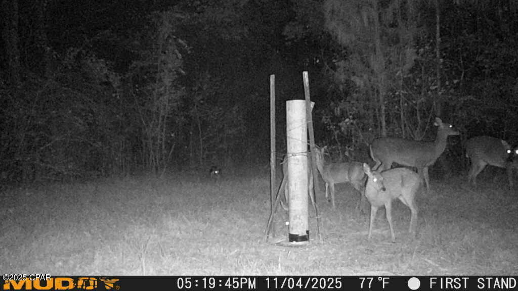 0 Hwy 77 Chipley Chipley, FL 32428 - Photo 21 of 23