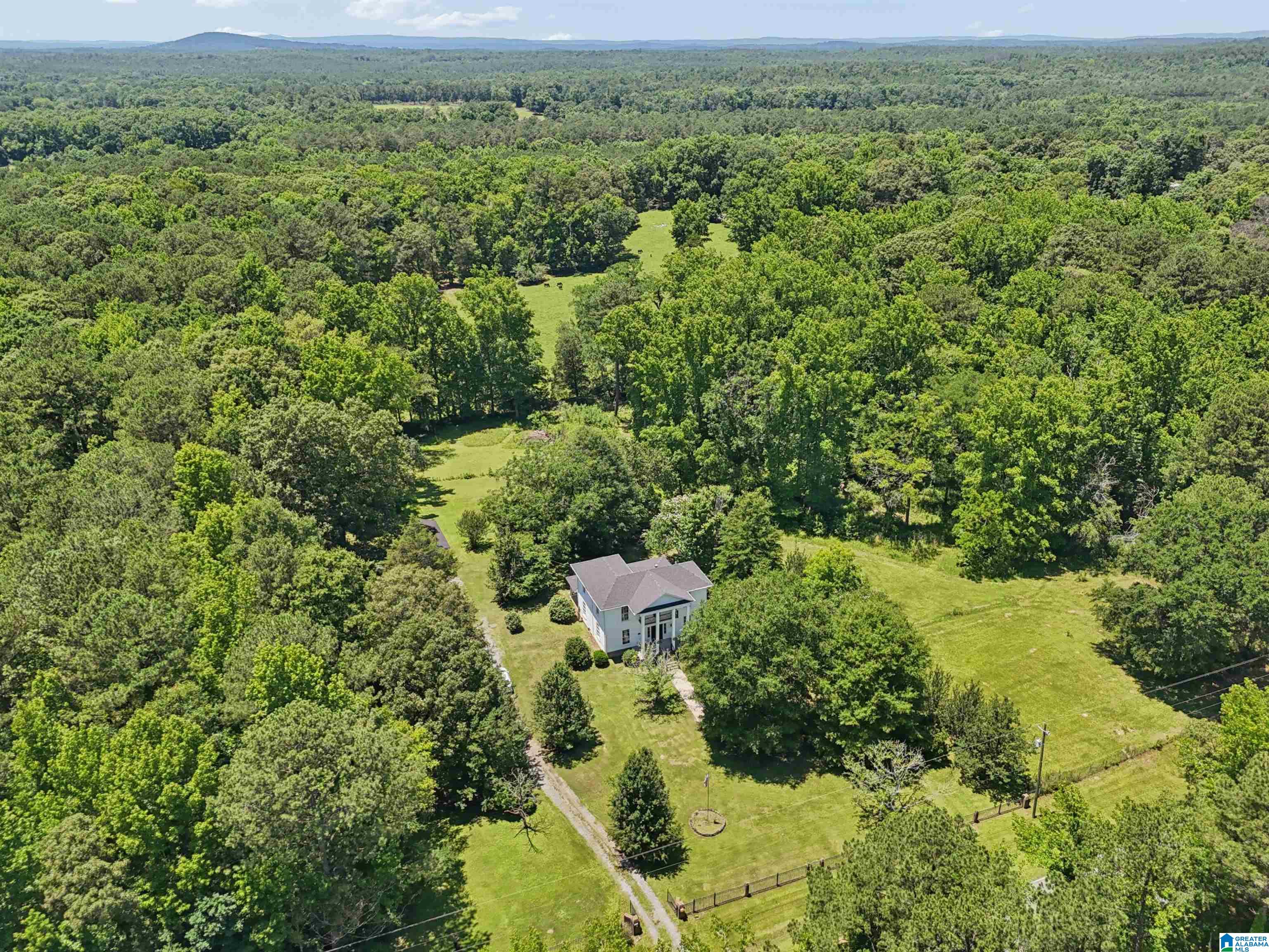 5154 Plantersville Road Alpine, AL 35014 - Photo 6 of 34