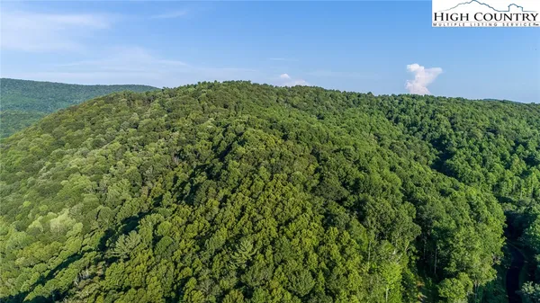 $64,000 | Tbd Lot 15 Tbd Lane, Todd, NC 28684