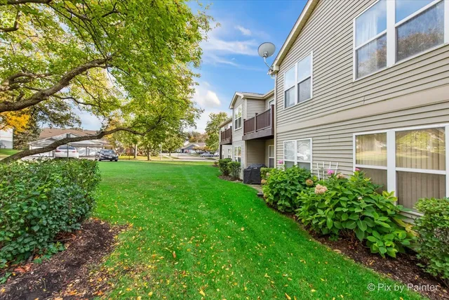 a backyard of a house with plants and large tree