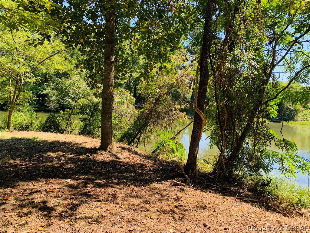 0 Prentice Point Drive Kilmarnock, VA 22482 - Photo 5 of 16 Elevated Area along the Creek