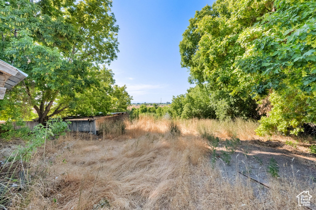 1632 South Main Street Springville, UT 84663 - Photo 61 of 93 View of yard