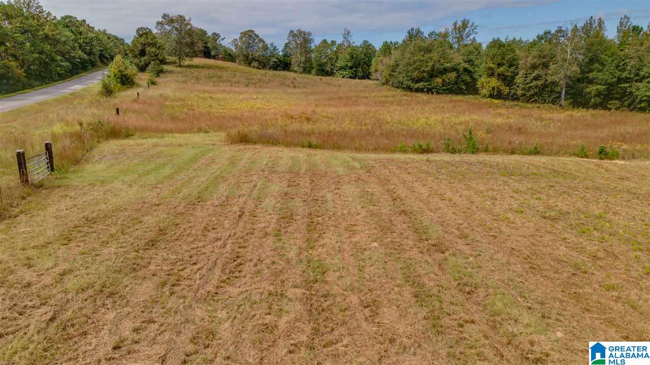 697 County Road 428 Clanton, AL 35045 - Photo 50 of 50