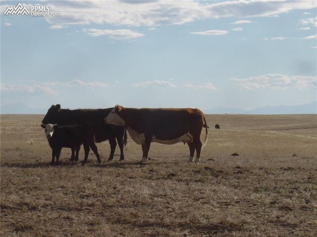 Edison Road Yoder, CO 80864 - Photo 22 of 24
