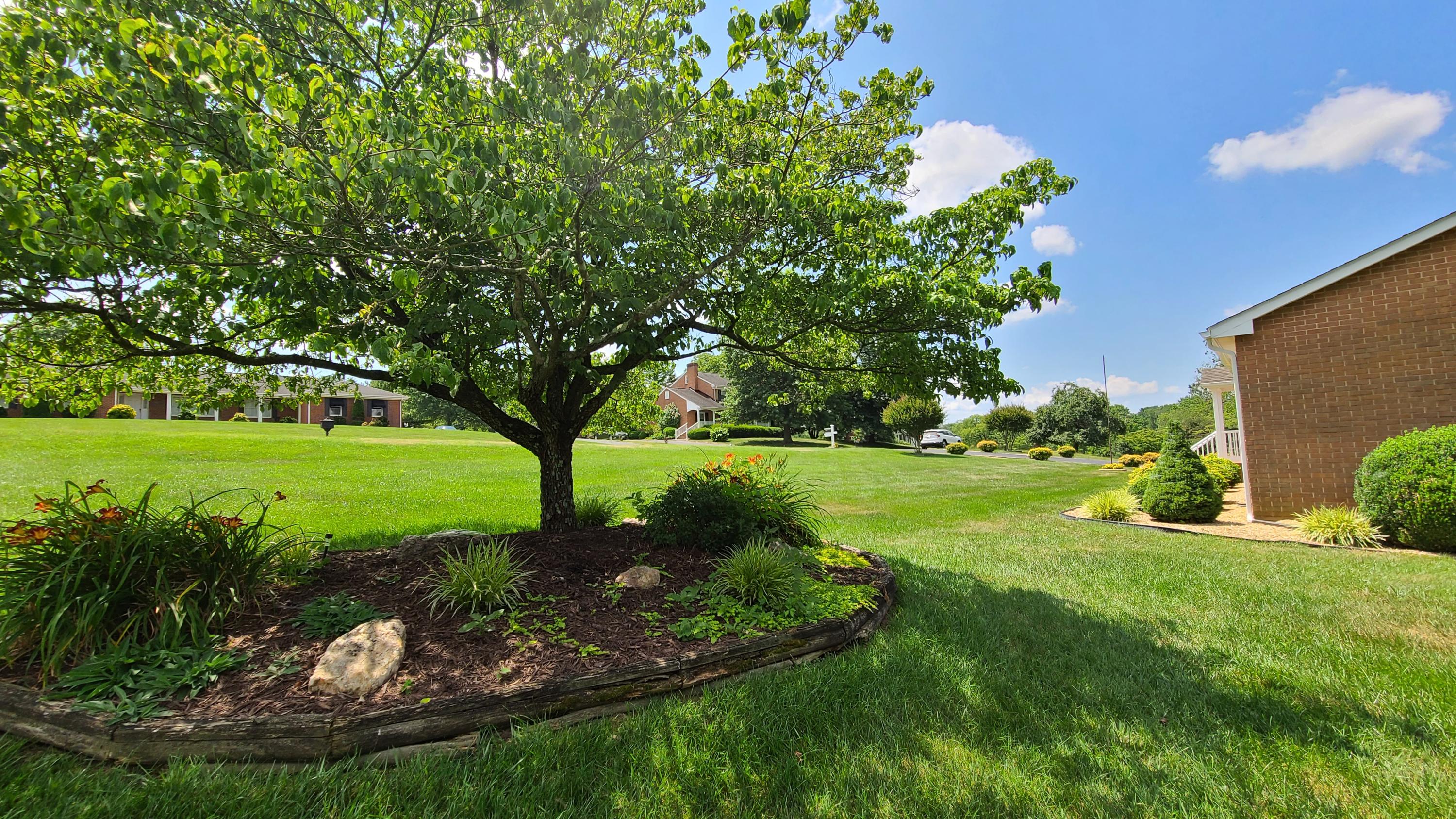 6826 Tinkerdale Road Roanoke, VA 24019 - Photo 31 of 40 20200710_120337