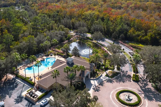 a view of a park with palm trees