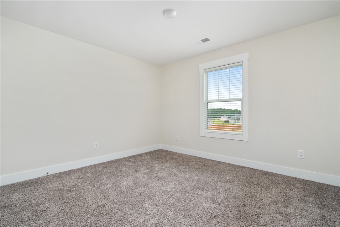 218 Walking Stick Way Pelzer, SC 29669 - Photo 29 of 34