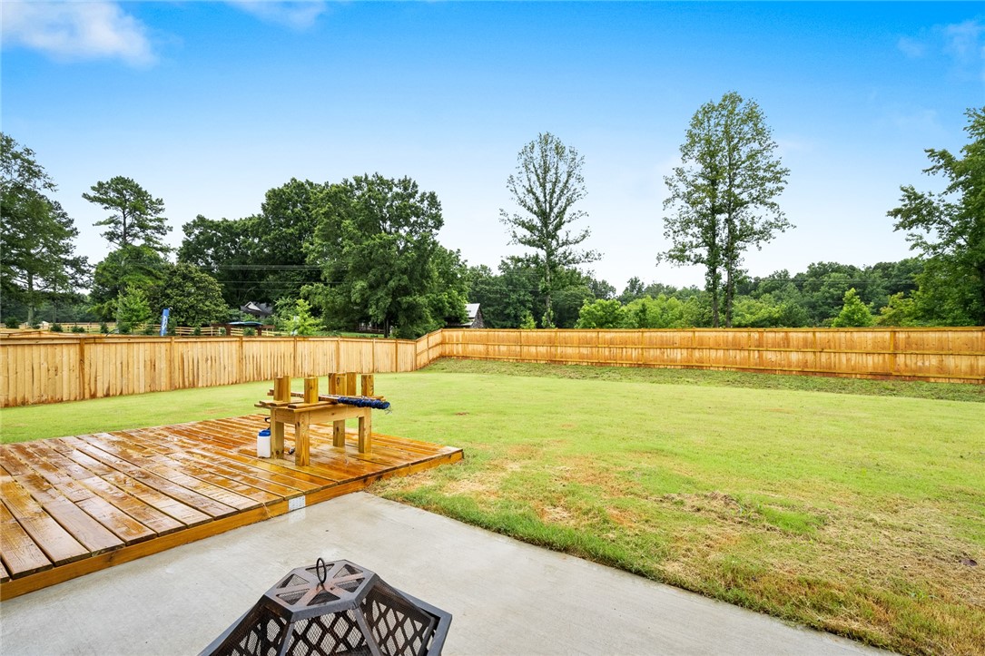 218 Walking Stick Way Pelzer, SC 29669 - Photo 32 of 34
