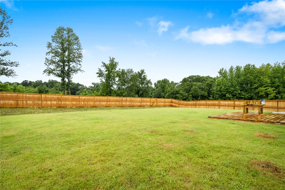 218 Walking Stick Way Pelzer, SC 29669 - Photo 34 of 34
