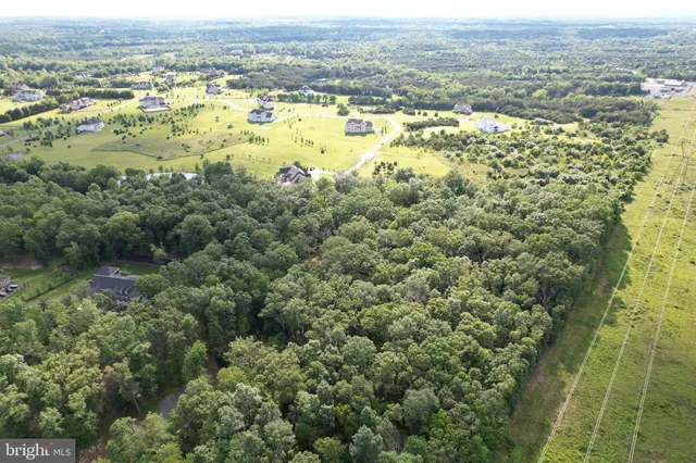 a view of a yard with plants