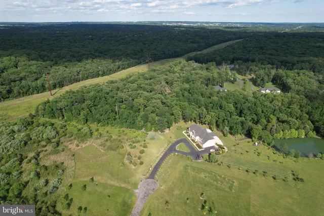 a view of a forest with an ocean