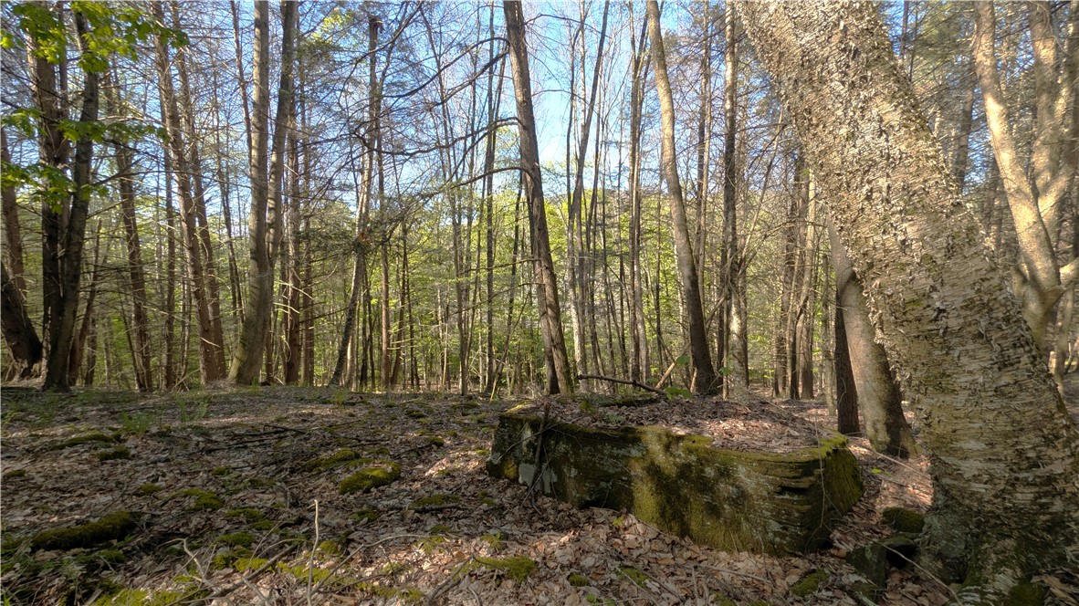 Lot 5 East River Road Andes, NY 13731 - Photo 24 of 39