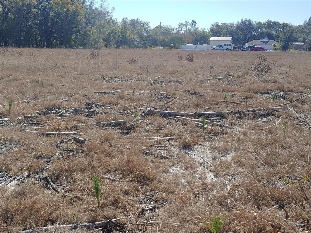Trapnell Road Plant City, FL 33566 - Photo 4 of 4 a view of an outdoor space