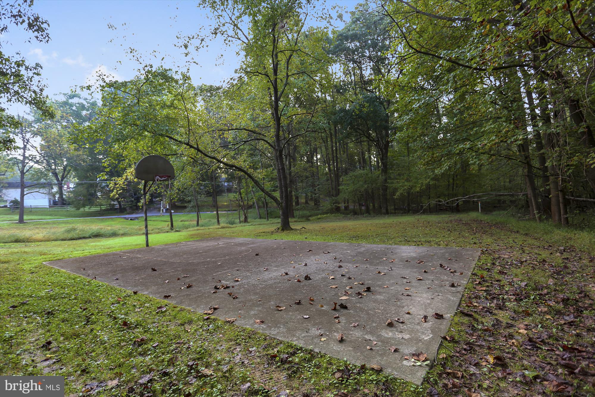 25510 Coltrane Drive Damascus, MD 20872 - Photo 46 of 50 a view of a park with large trees