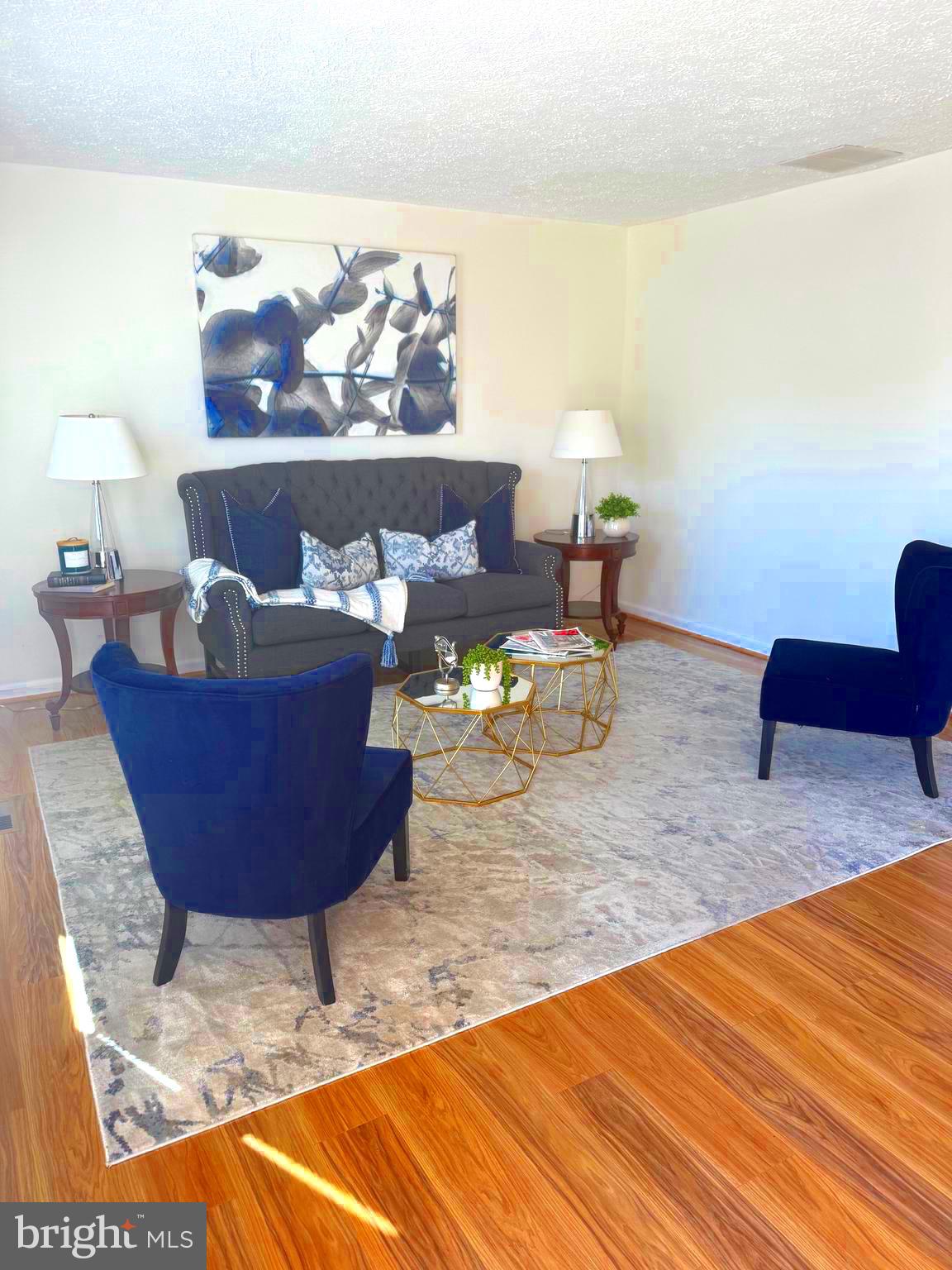 25510 Coltrane Drive Damascus, MD 20872 - Photo 6 of 50 Living Room