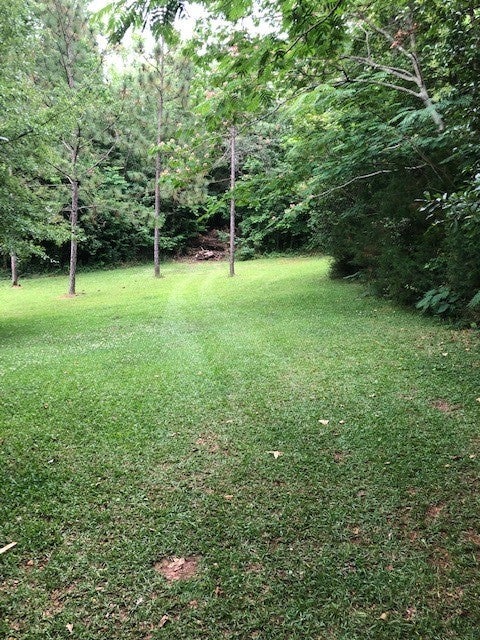 381 Pear Tree Road Auburn, AL 36830 - Photo 18 of 18 Gallery Image 18