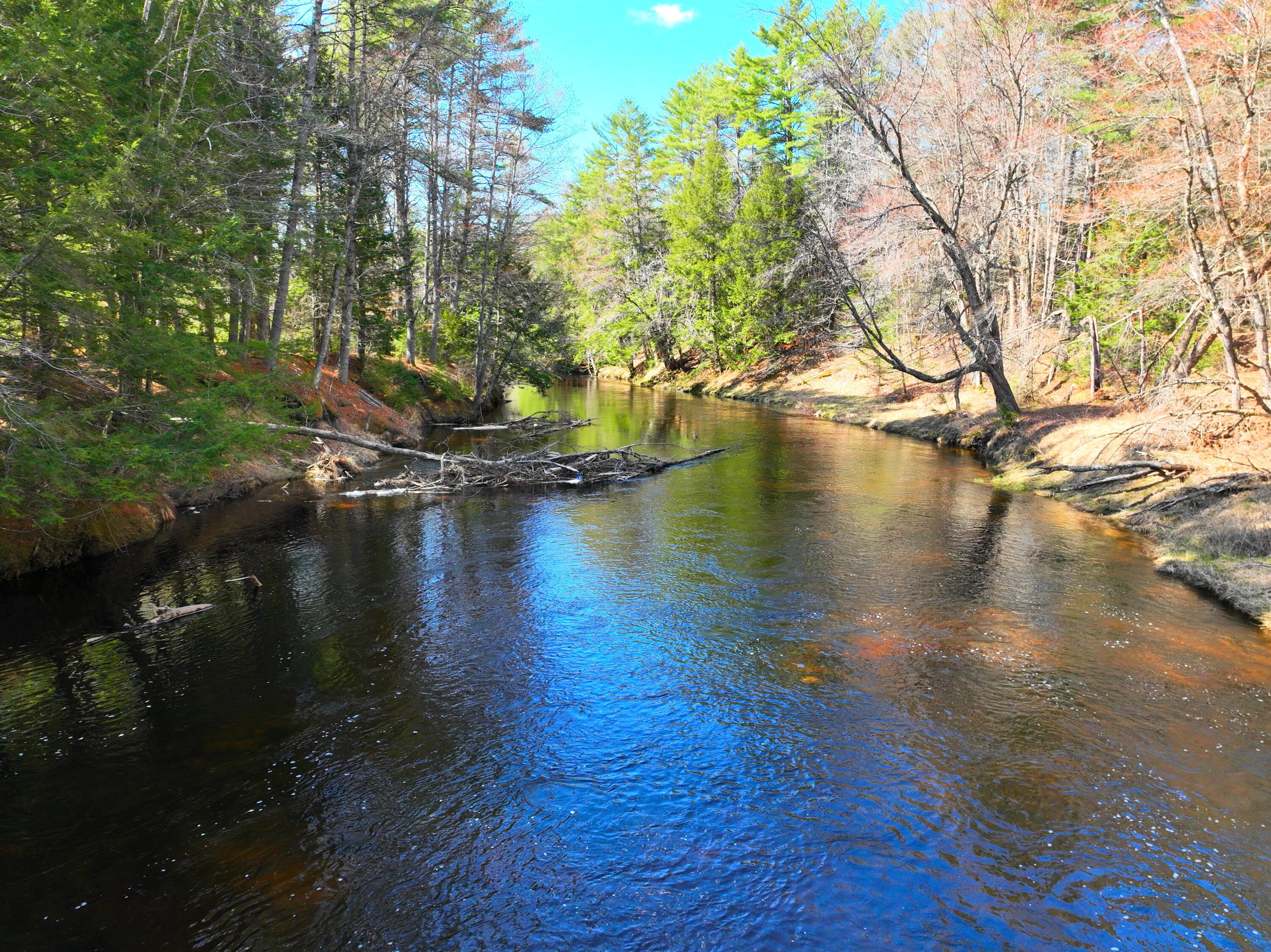 16-10 Scribners Mills Road Harrison, ME 04040 - Photo 4 of 4 DJI_0690