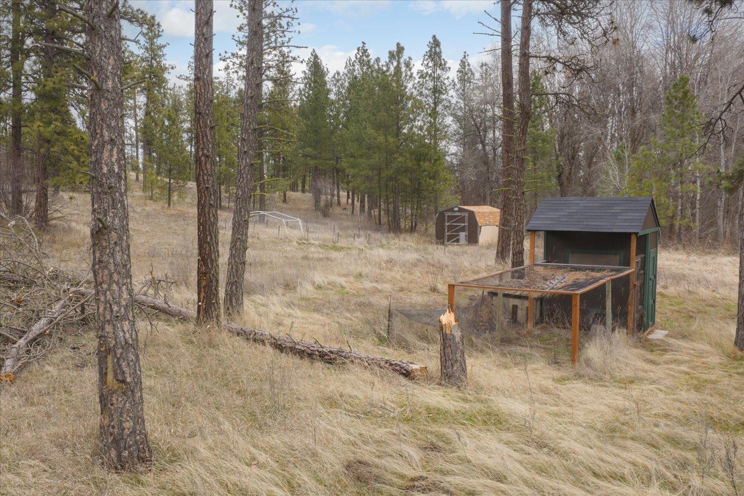 24828 South Pine Springs Road Cheney, WA 99004 - Photo 23 of 26