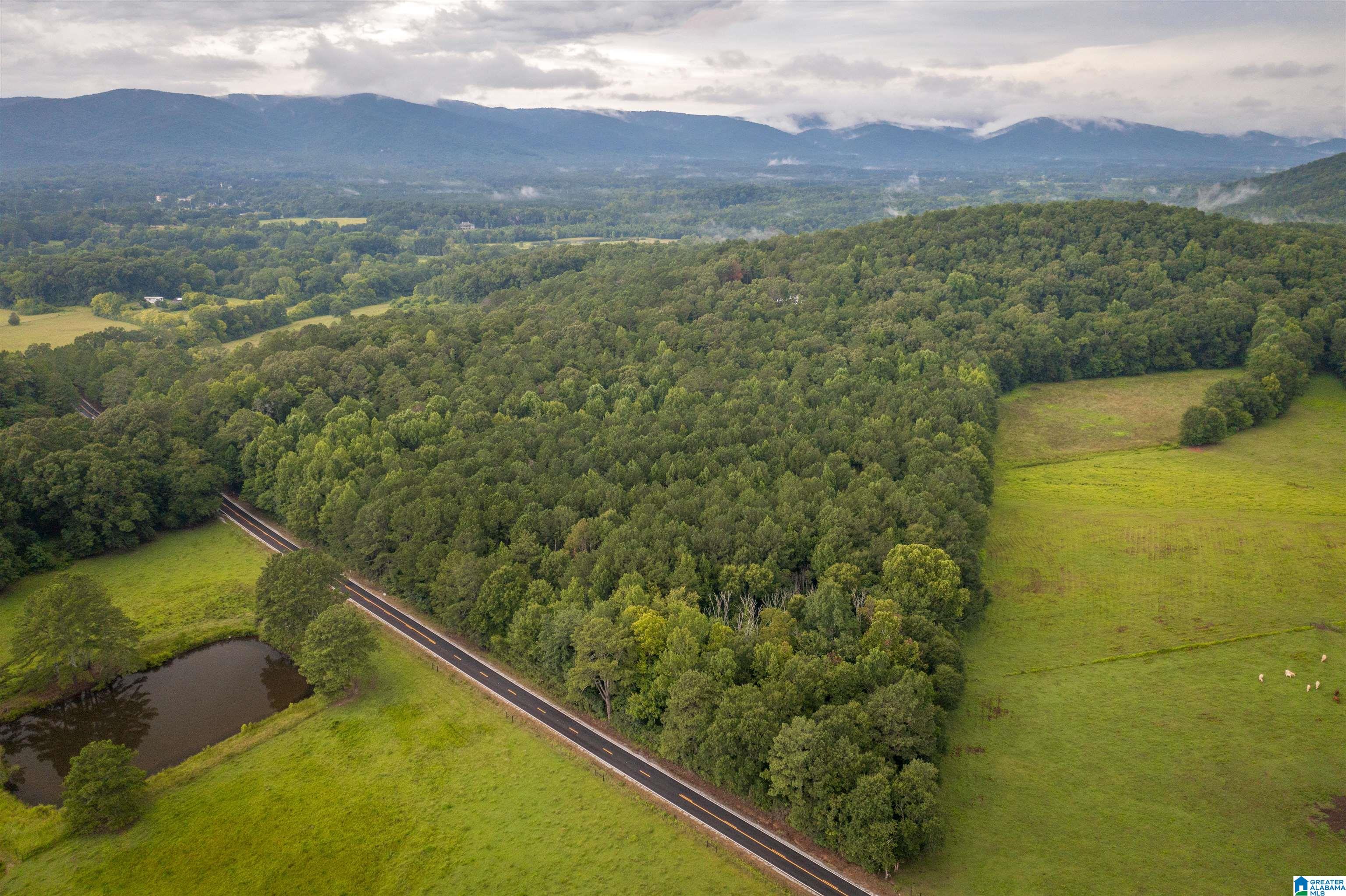 0 Iron City Cutoff Road, Unit 4 Anniston, AL 36207 - Photo 6 of 19