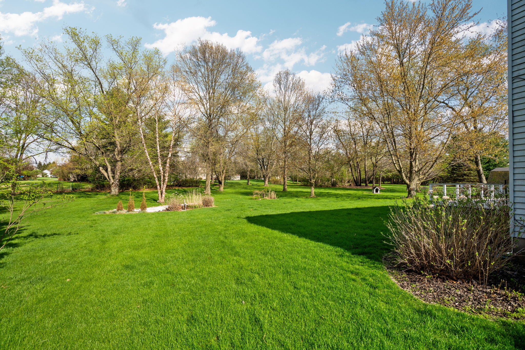 5615 Pebble Ridge Court Ann Arbor, MI 48108 - Photo 49 of 62 Rear yard