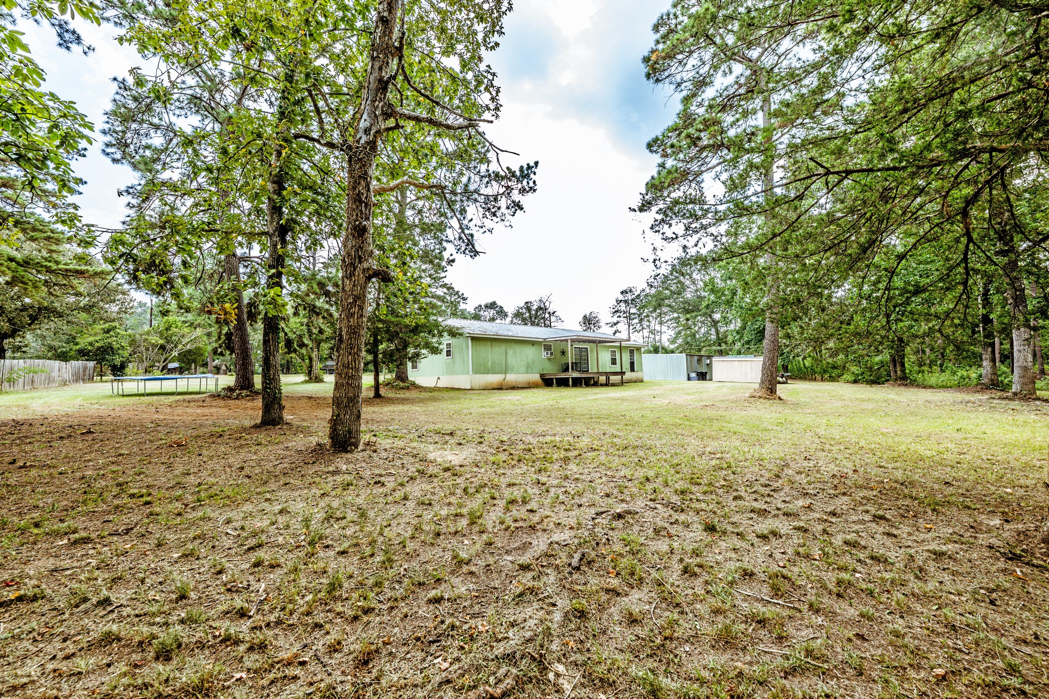 230 Thomas Creek Road Cleveland, TX 77328 - Photo 24 of 28 a view of backyard with tree