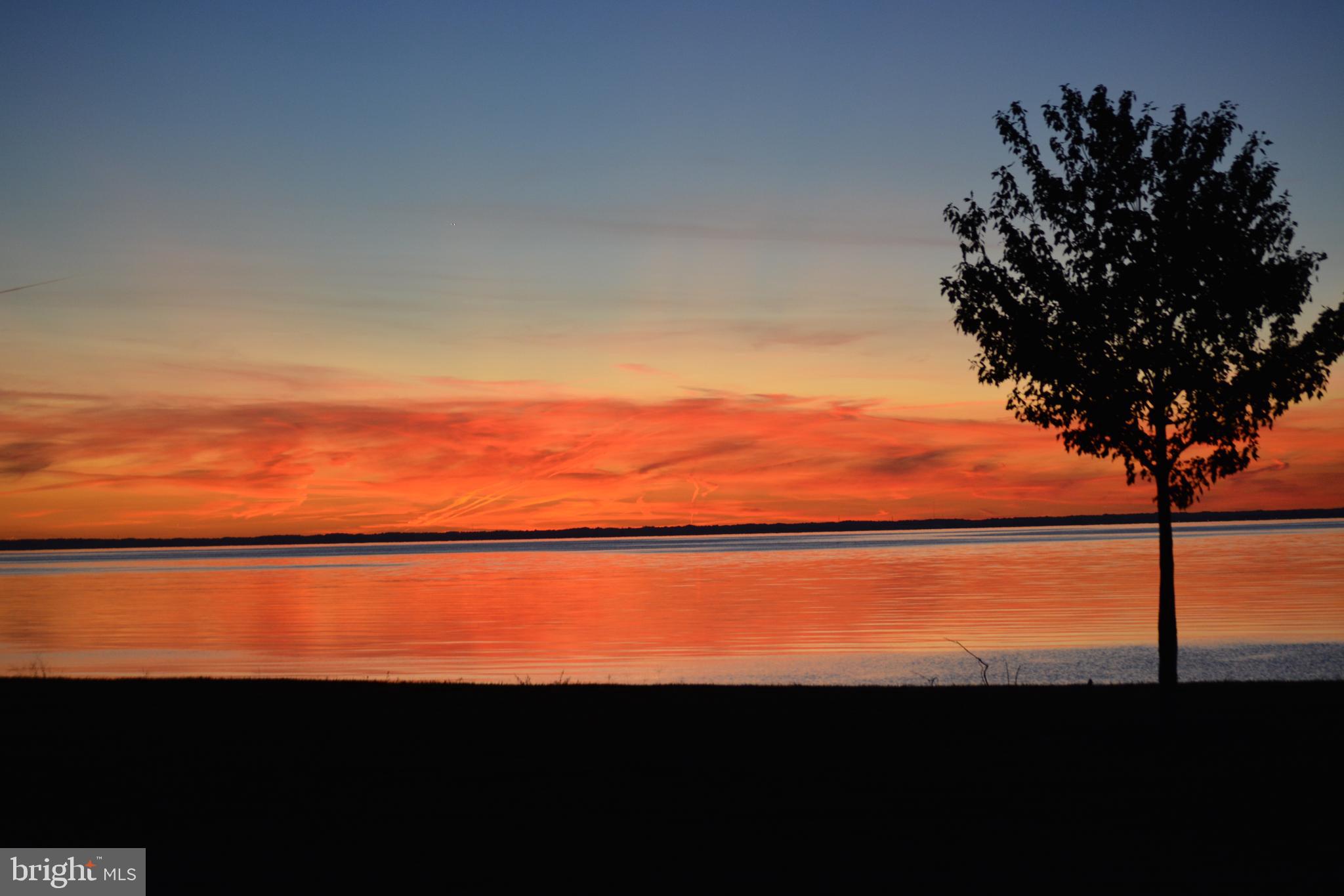 8781 Tilghman Island Road Wittman, MD 21676 - Photo 12 of 60