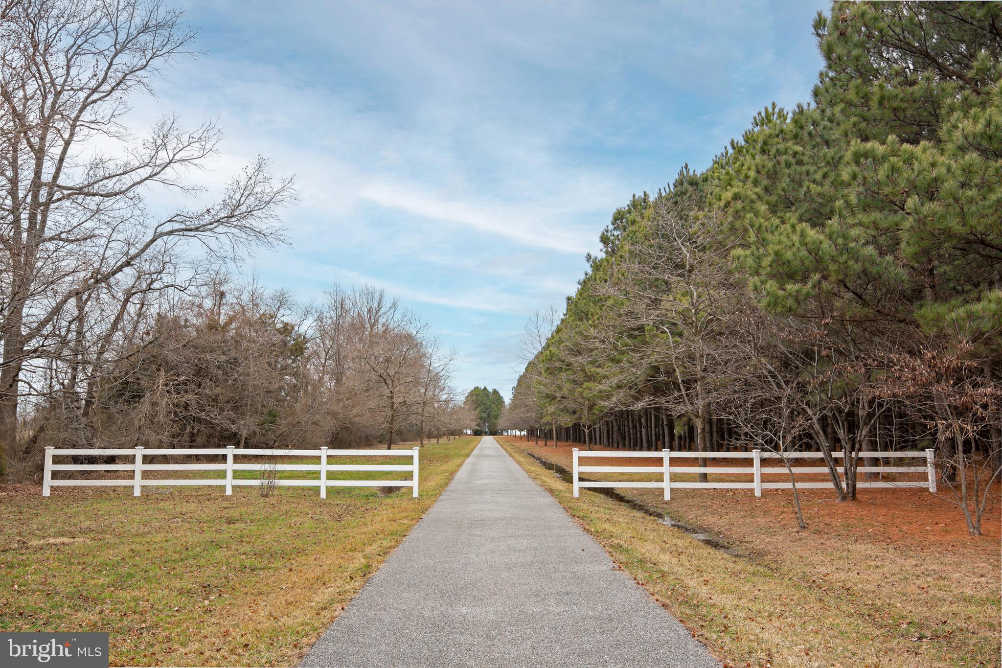 8781 Tilghman Island Road Wittman, MD 21676 - Photo 2 of 60 a view of a swimming pool with an outdoor seating