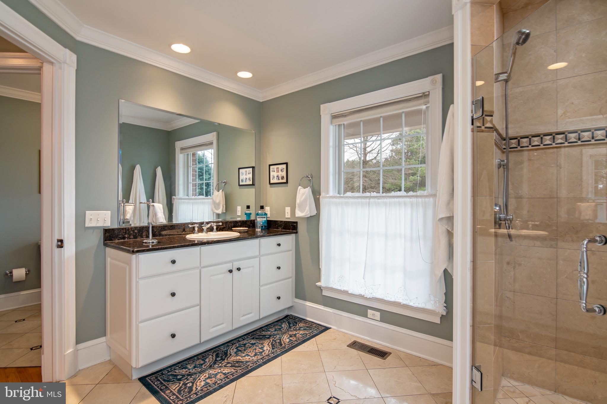 8781 Tilghman Island Road Wittman, MD 21676 - Photo 39 of 60 a bathroom with a granite countertop sink mirror and shower