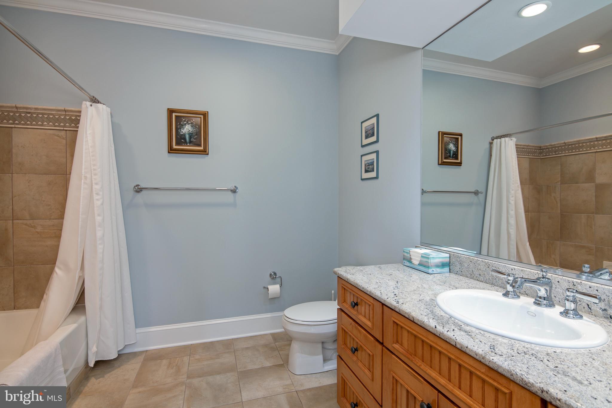 8781 Tilghman Island Road Wittman, MD 21676 - Photo 48 of 60 a bathroom with a granite countertop sink toilet and shower