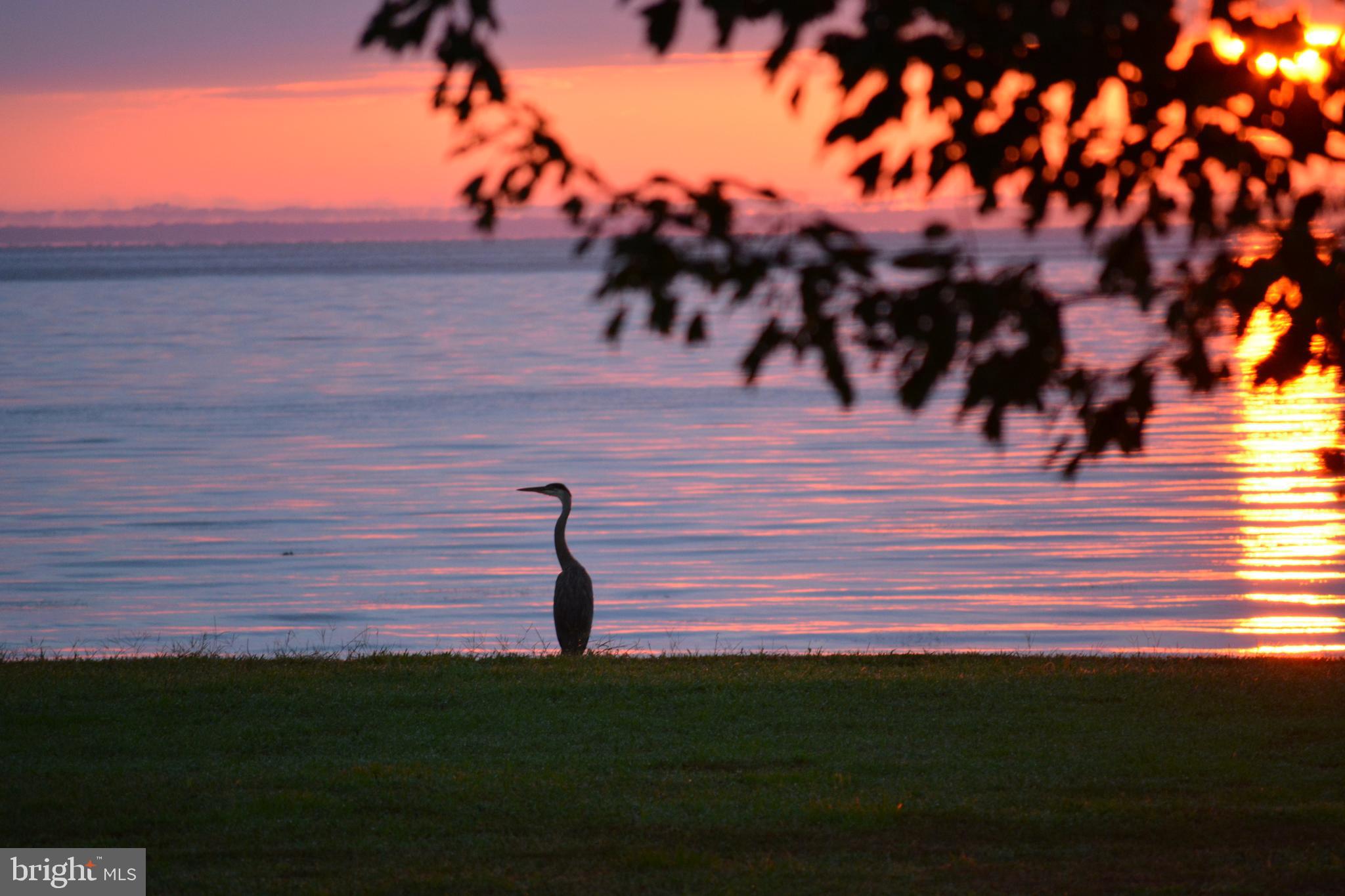 8781 Tilghman Island Road Wittman, MD 21676 - Photo 57 of 60