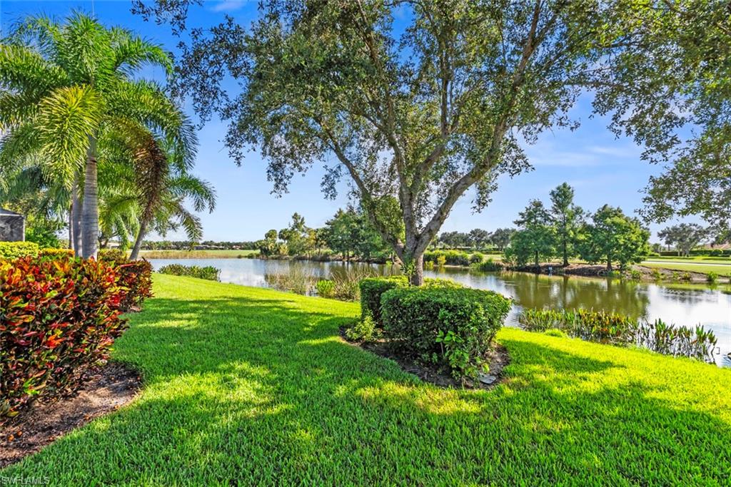 5868 Constitution Street Ave Maria, FL 34142 - Photo 24 of 33 a view of a lake with a yard and large trees