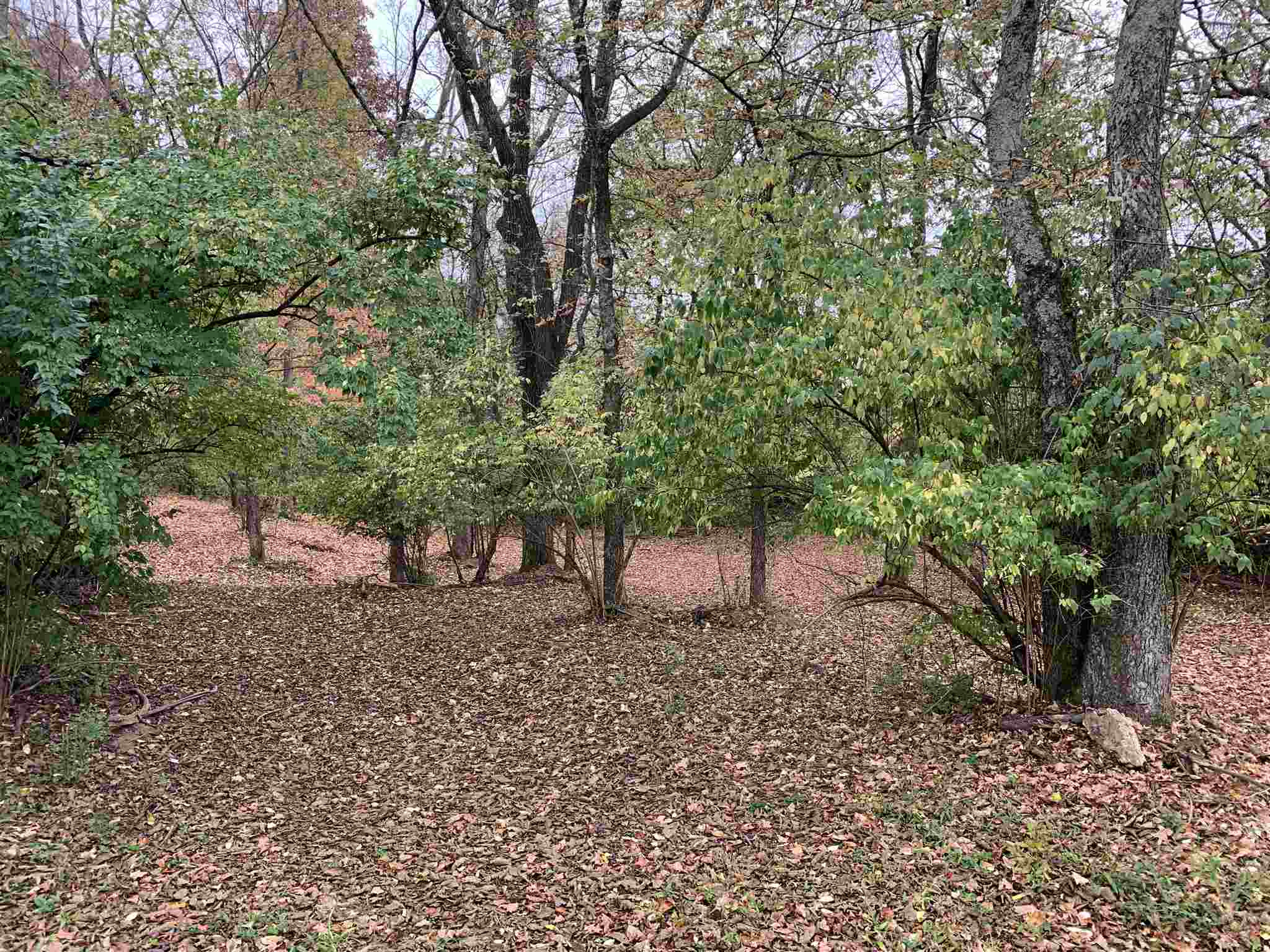 525 C Rice Road Latonia, KY 41015 - Photo 1 of 5