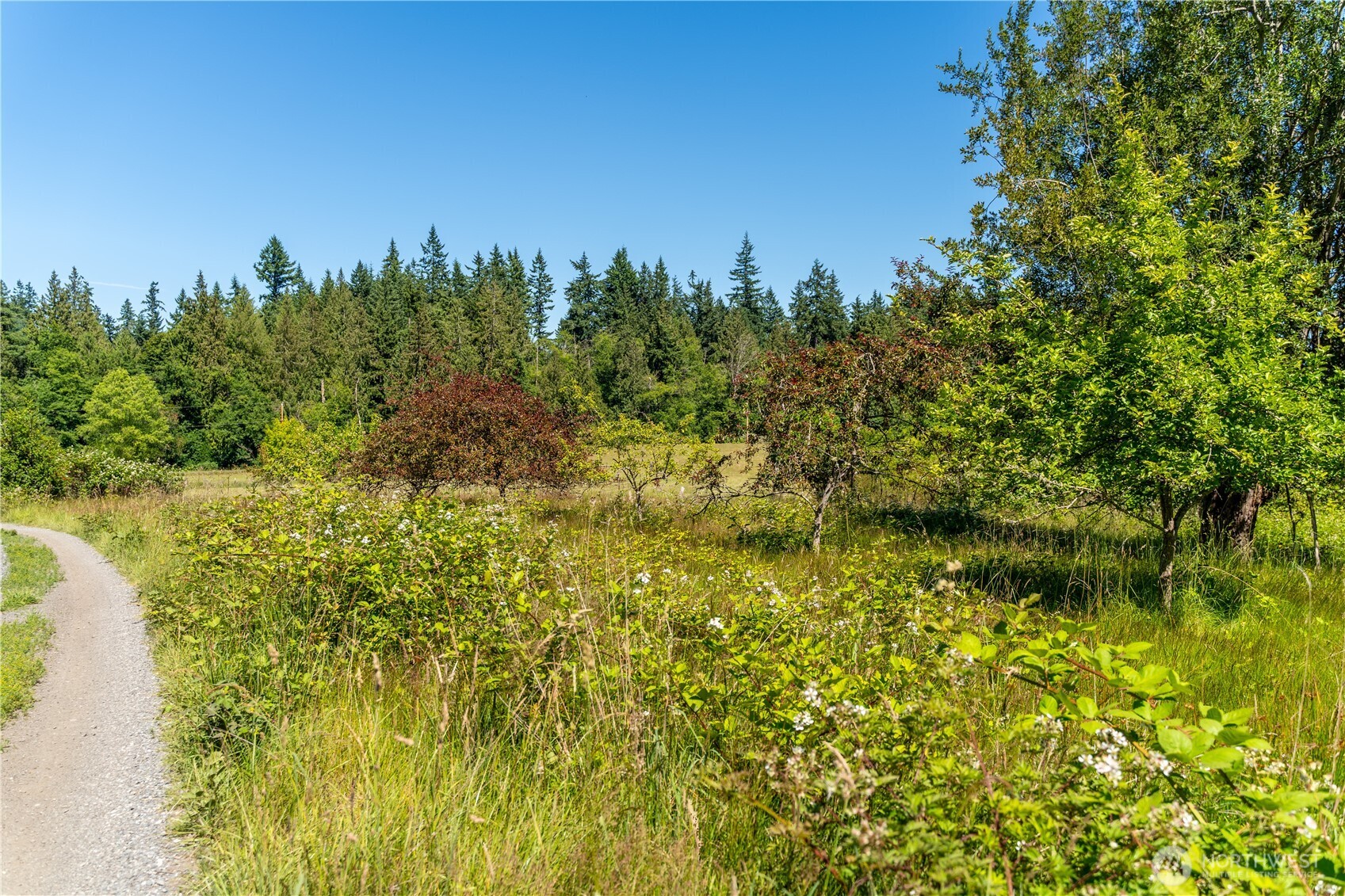 0 East Heggeness Road Clinton, WA 98236 - Photo 14 of 19 a view of a lake with a garden